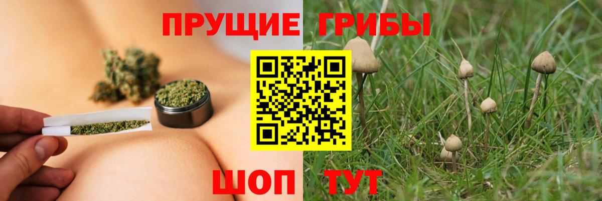 Галлюциногенные грибы Magic Shrooms Ноябрьск