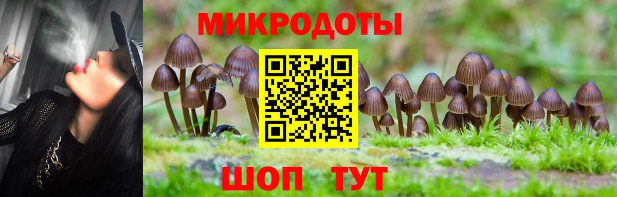 Ноябрьск  Галлюциногенные грибы Psilocybine cubensis  Вход с VPN  Галлюциногенные грибы прущие грибы 
